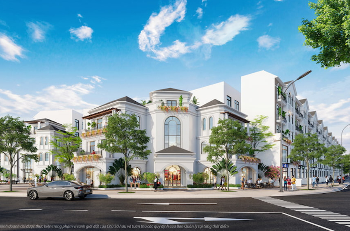 Hệ Sinh Thái "Tứ Trụ Kim Cương"