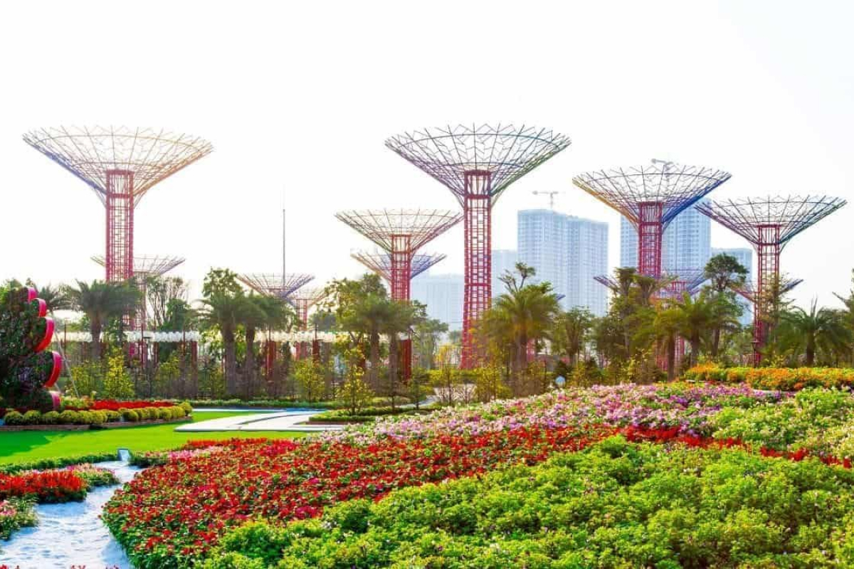 Công viên ánh sáng là lựa chọn lý tưởng cho người làm việc căng thẳng, thích cân bằng giữa nhịp sống đô thị và sự thư thái.